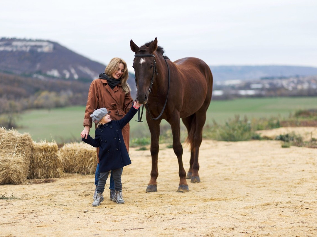 Horse Rides Eco Rest-Kashtanove必去景点