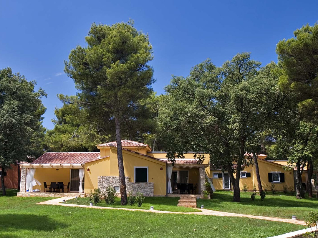 Istrian Villas Plava Laguna主图