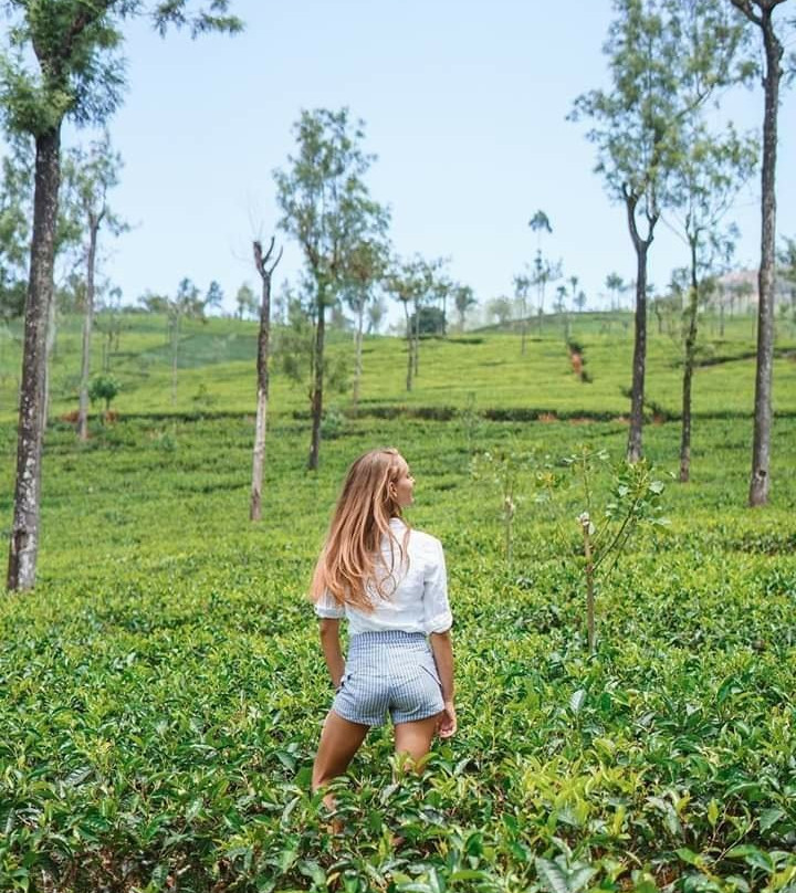 Eco Cabs & Tours-Kandy District必去景点