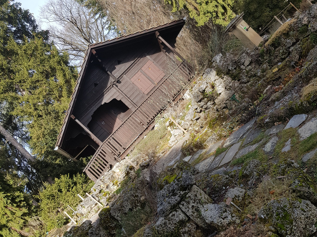 Jardin Botanique Alpin de Meyrin-梅林必去景点