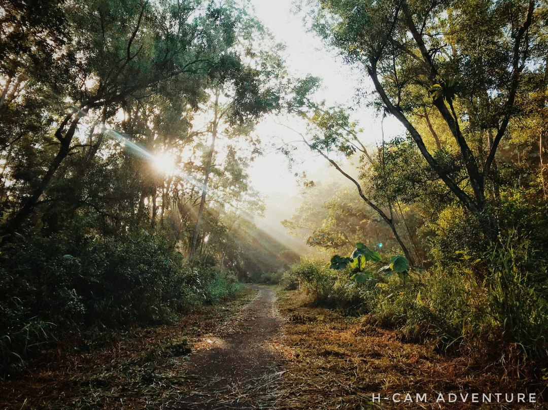 Kingdom Rides + Adventures景点图片