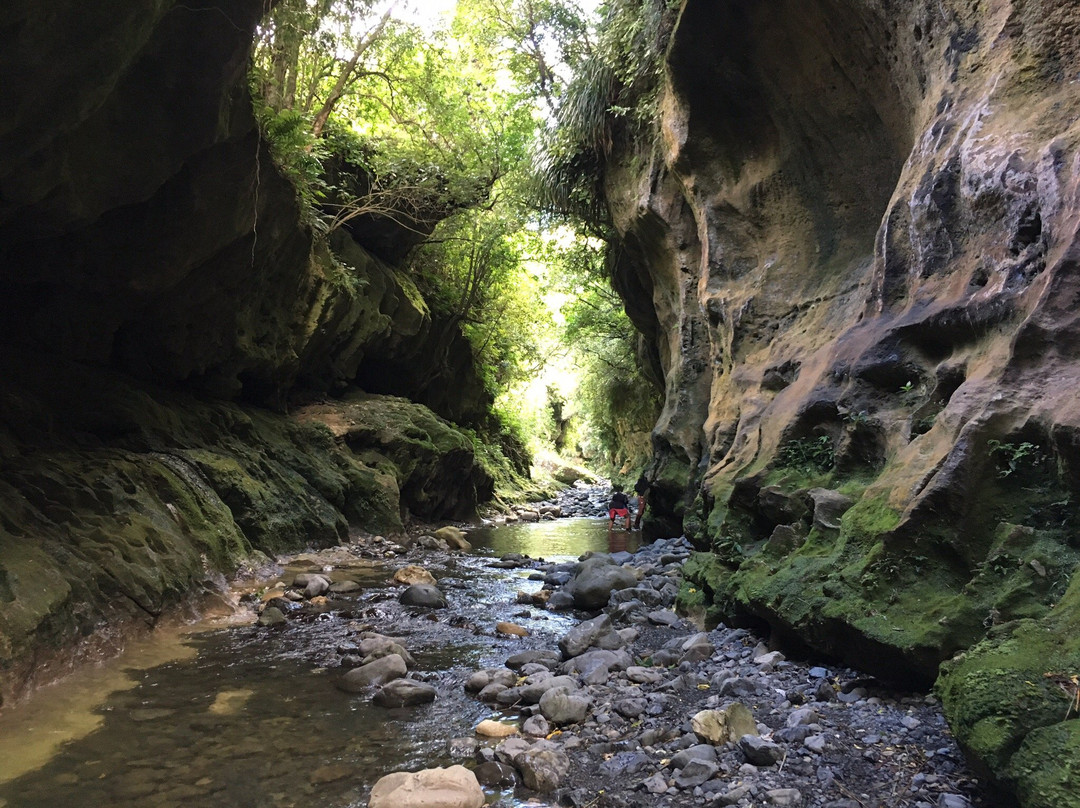 Patuna Farm Adventures景点图片