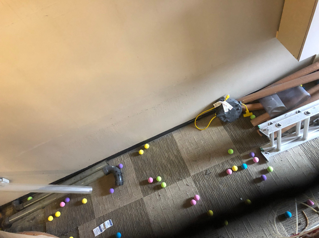 Dizzy Castle-温哥华必去景点