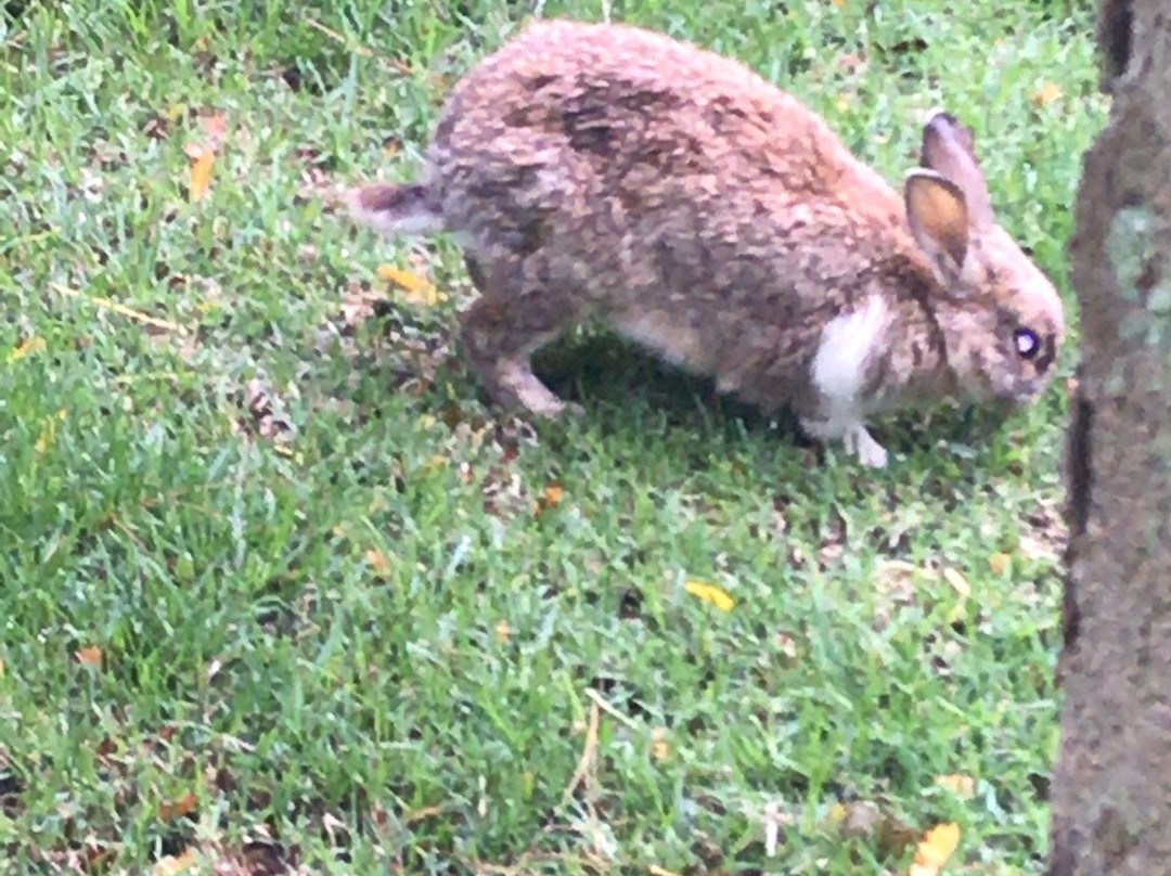 Highveld Splendour Boutique Bed and Breakfast主图