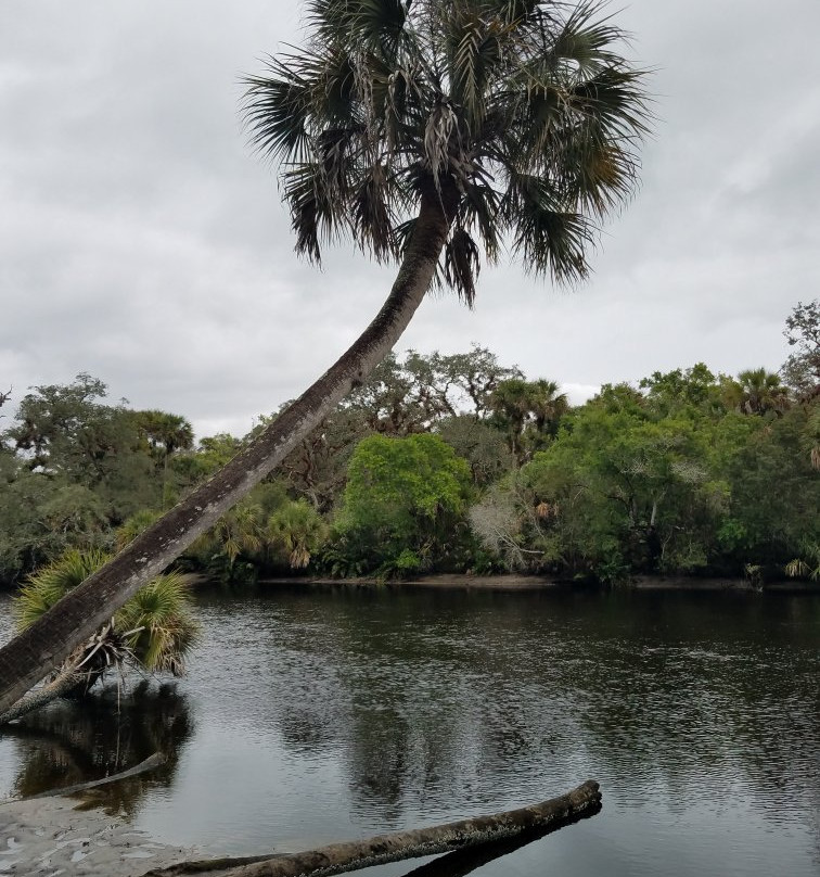 Snook Haven-威尼斯必去景点