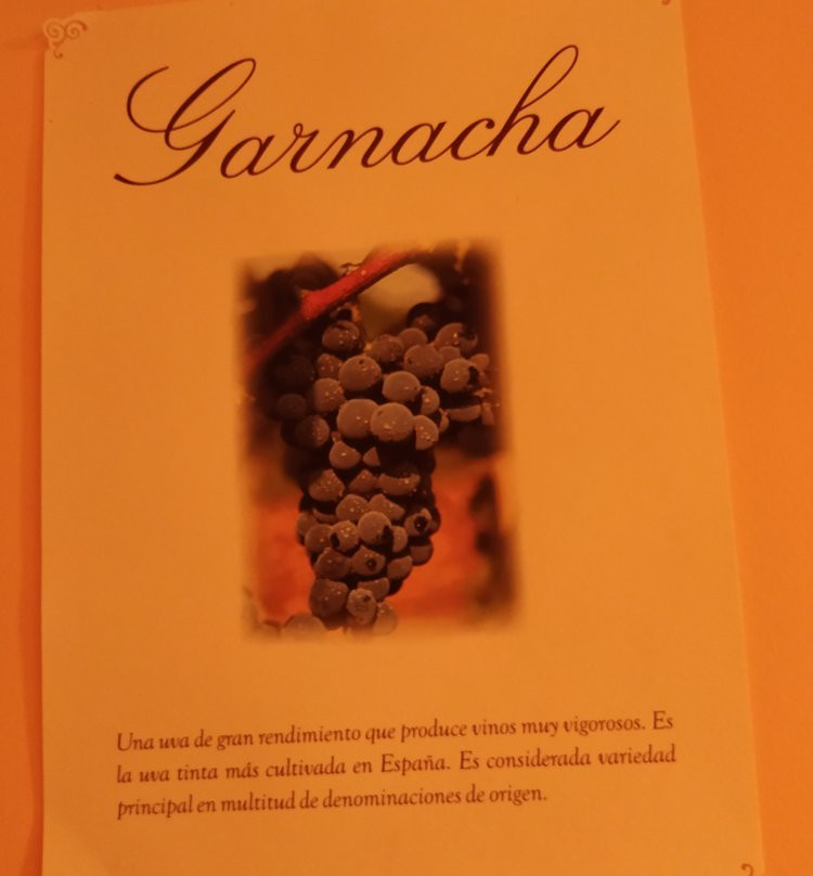 Hacienda Albae主图