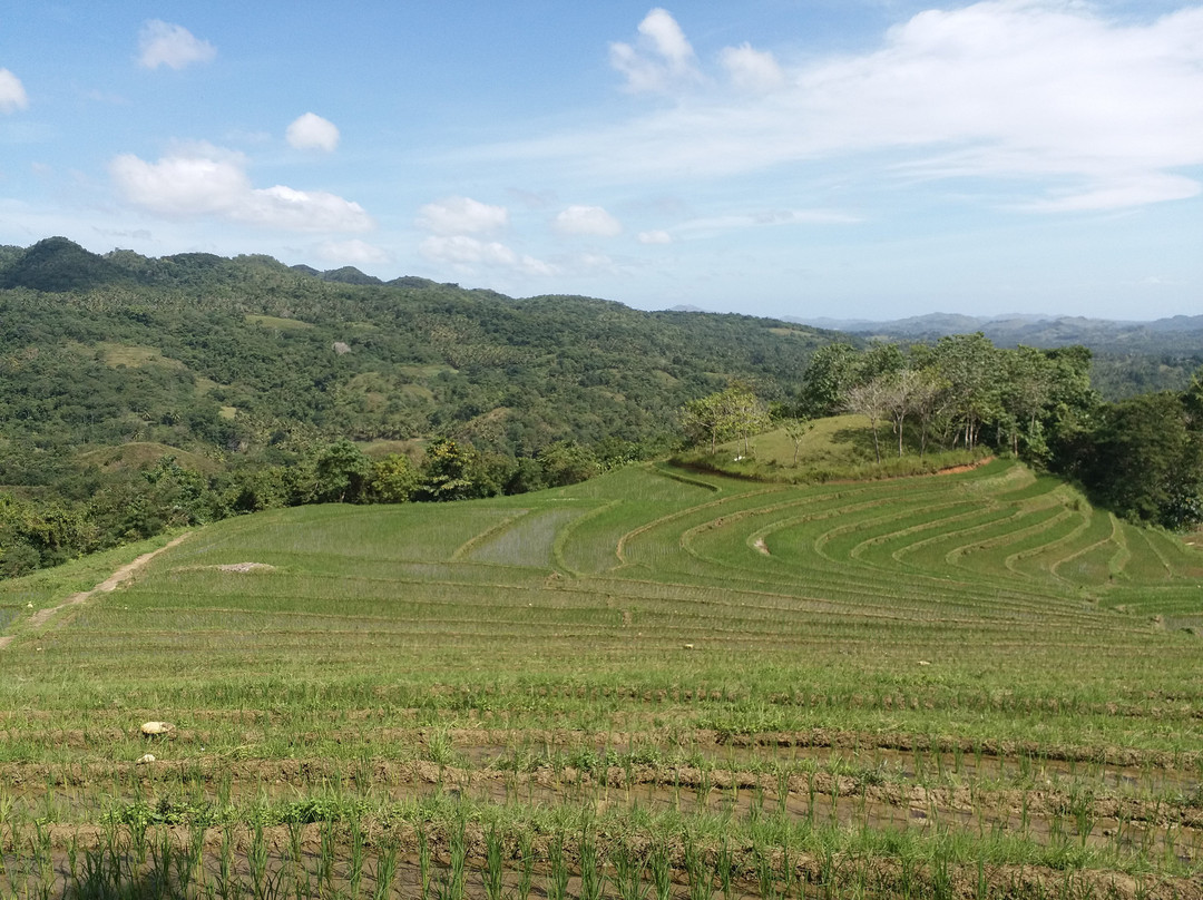 Candapdapan Rice Terraces景点图片