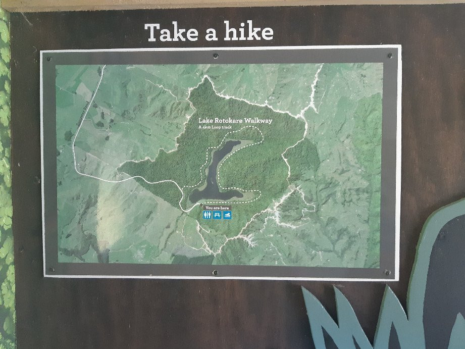 Lake Rotokare景点图片