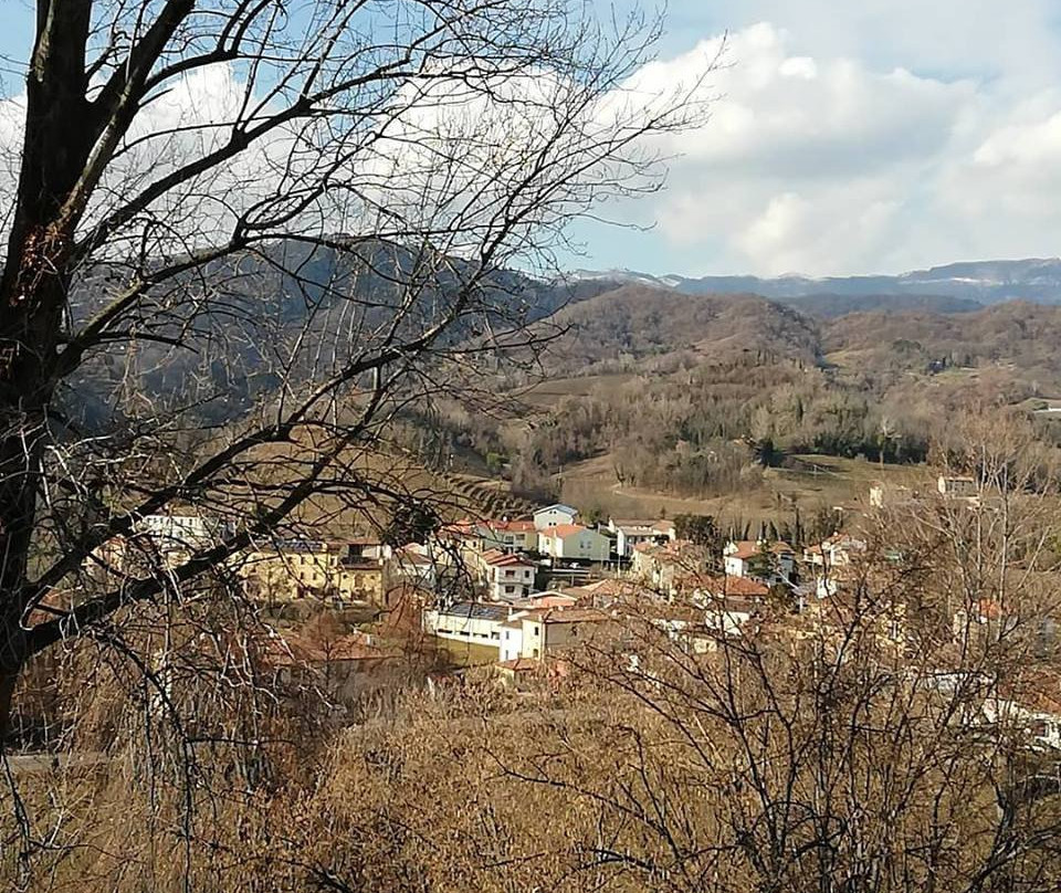 La Vigna di Sarah主图