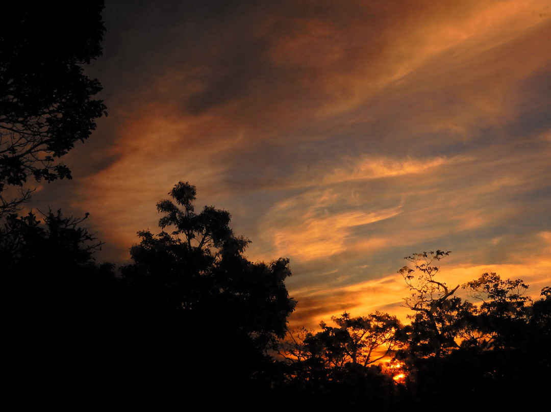 Monteverde Lodge主图