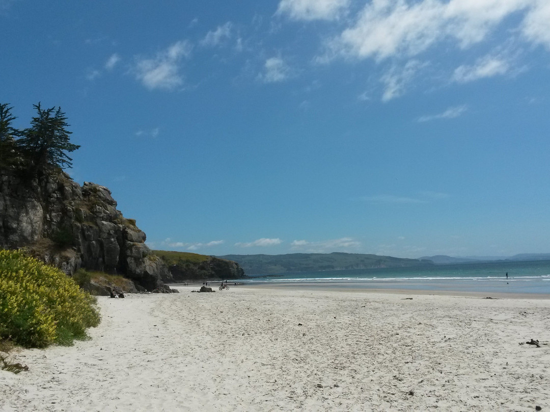 Long Beach-但尼丁必去景点