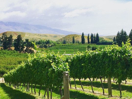 The BRAE, Tastings & Taps-克伦威尔镇必去景点