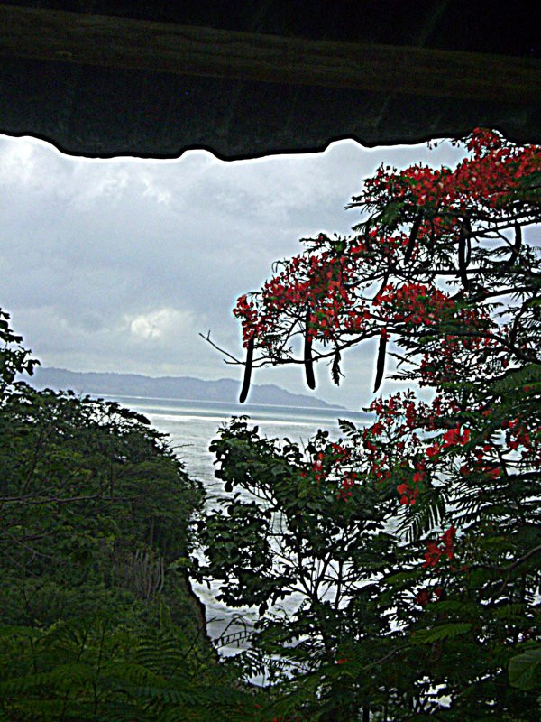 Punta Prieta Guest House主图