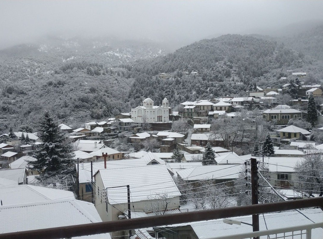 Two Flowers Hotel主图