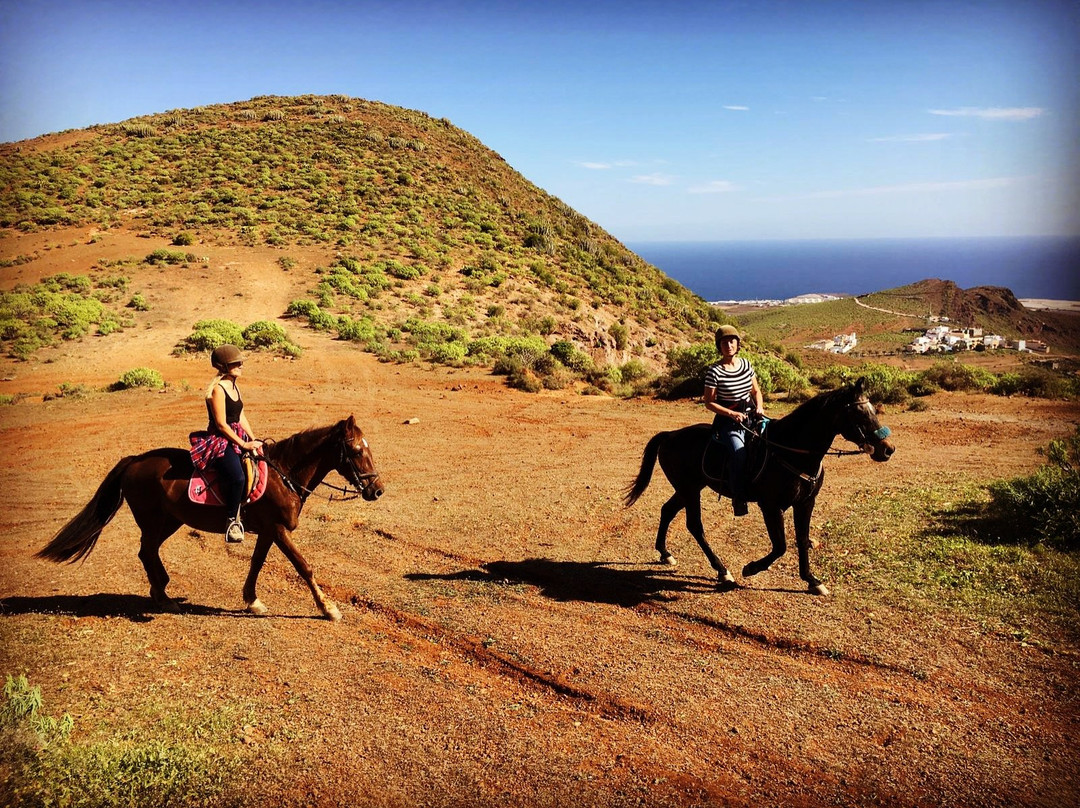 Horse Riding Canaria景点图片