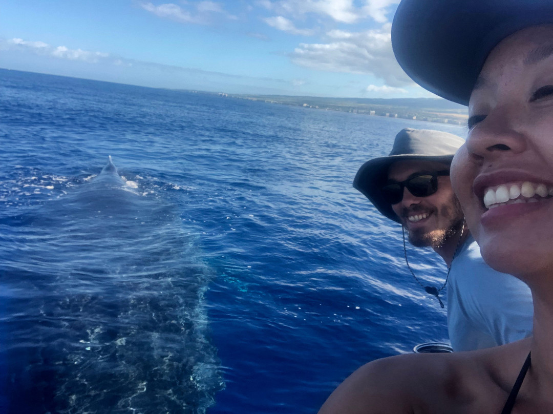 Blue Maui Ocean Adventures-卡纳帕利必去景点