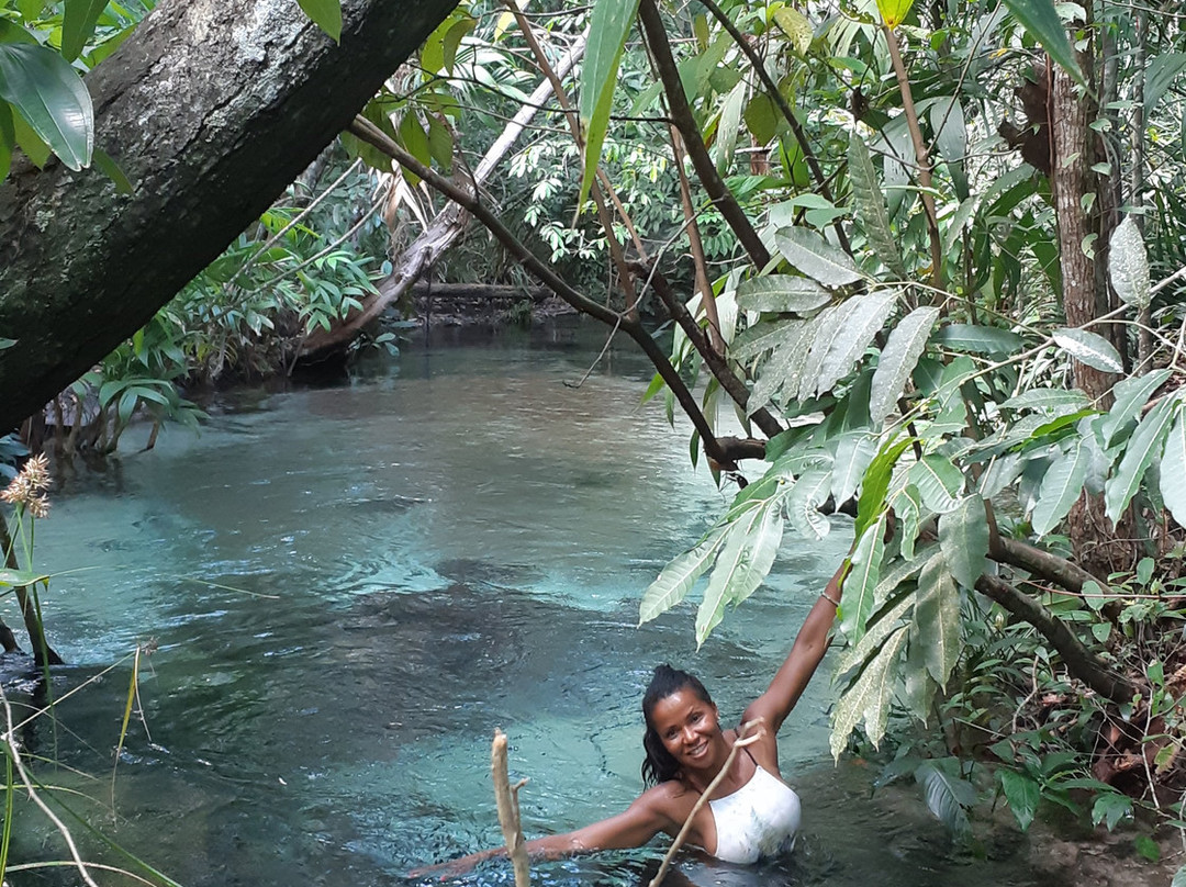 Cerrado Rupestre-Palmas必去景点
