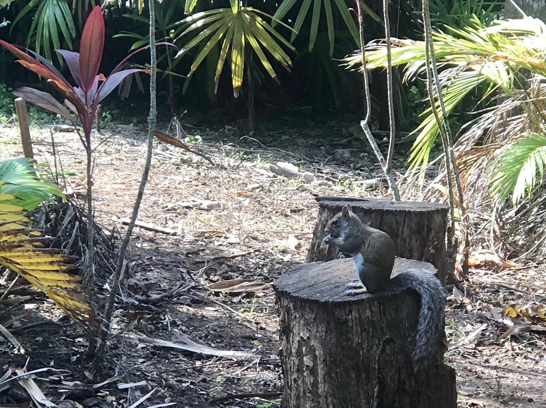 Florida Tech Botanical Garden-墨尔本必去景点