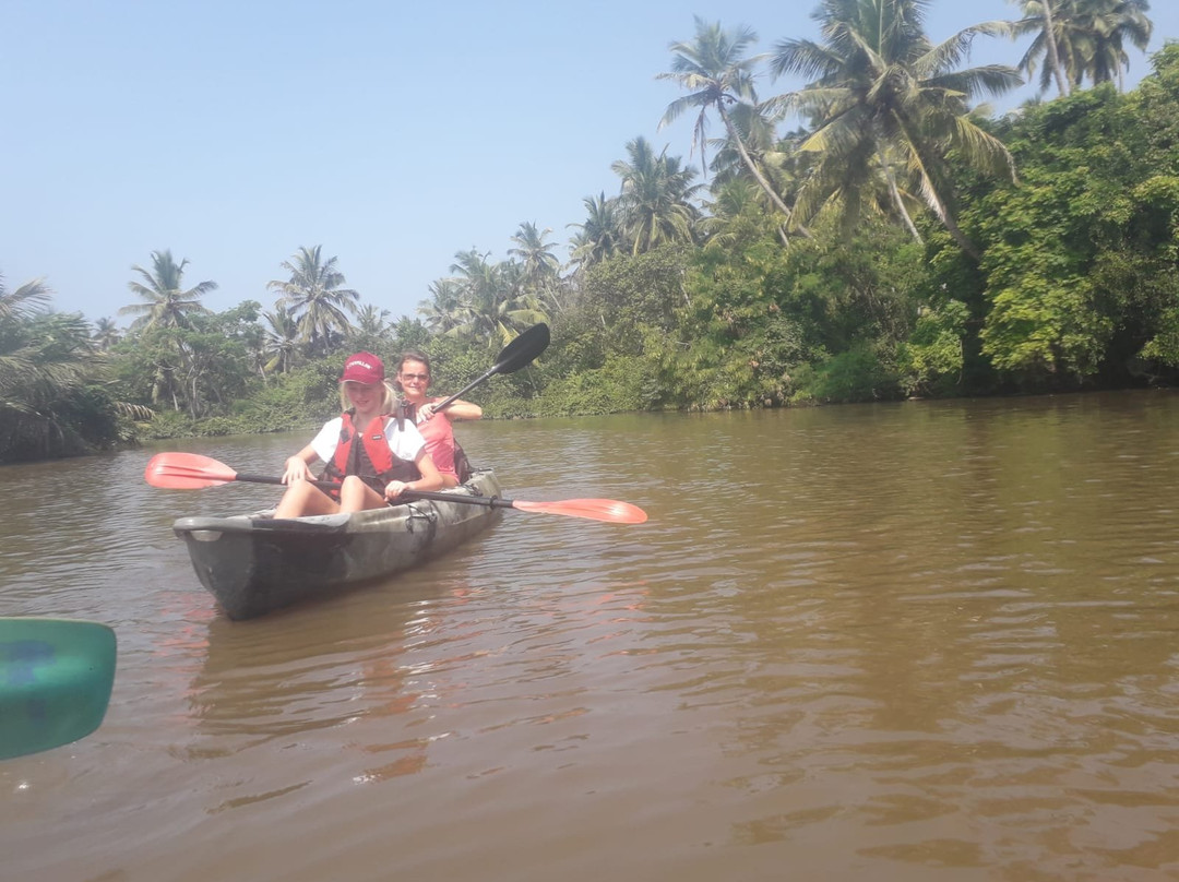 Ging Oya Lodge主图