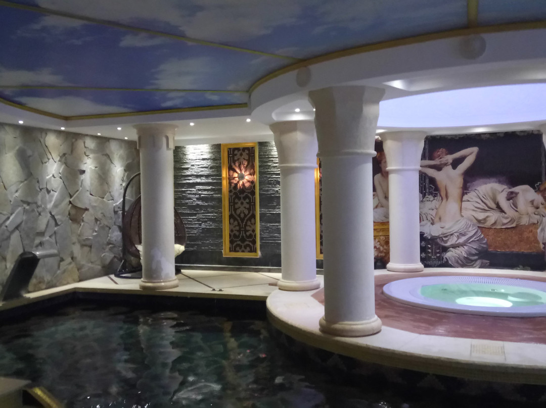 Spa Complex Nesselbeck景点图片