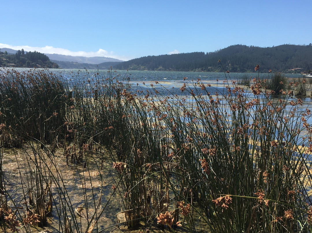 Hotel Marina de Vichuquen主图