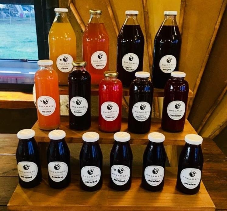 Agricola Anka Mapu-San Clemente必去景点