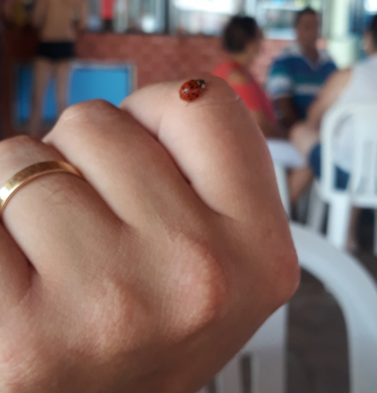 Water Club-Sao Lourenco必去景点