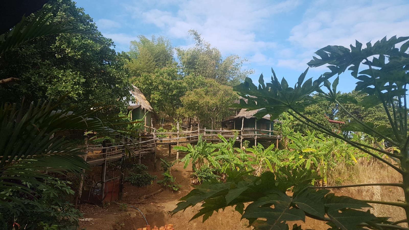 Tree Lodge Banlung-官方
