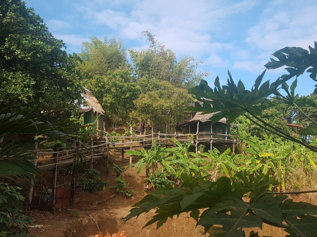 Tree Lodge Banlung主图
