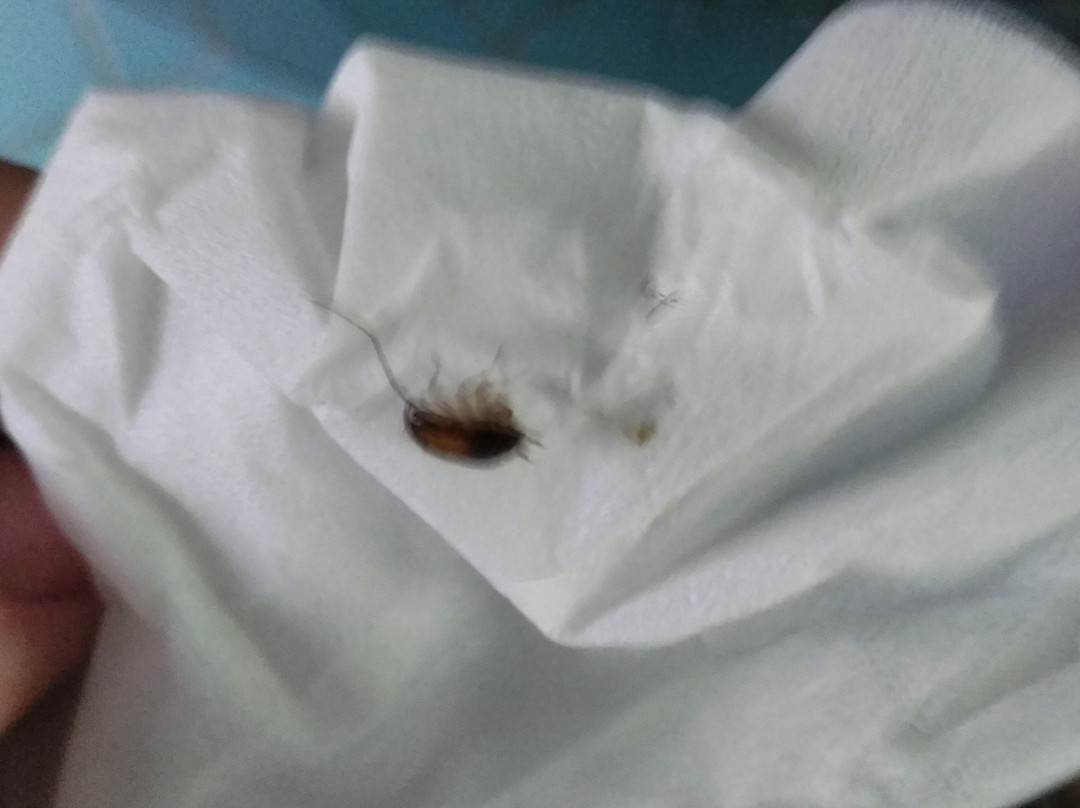 Super 8 by Wyndham Clarksville Northeast主图