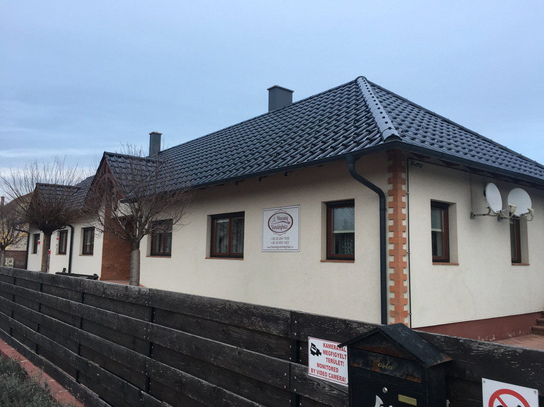 Hanság Vendégház主图