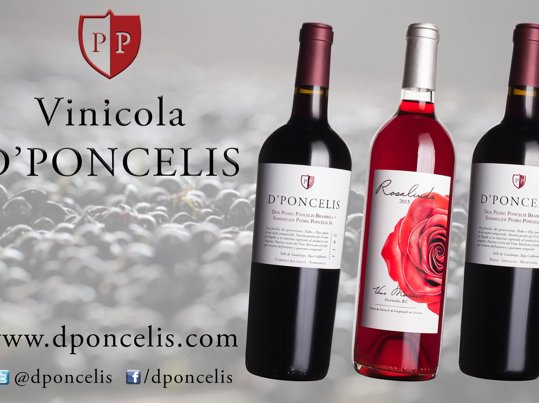 Vinicola Punto & Aparte-El Sauzal de Rodríguez必去景点