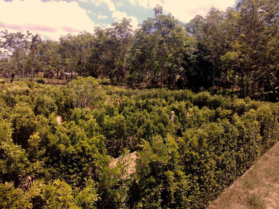 Khao Lak Mini Golf景点图片