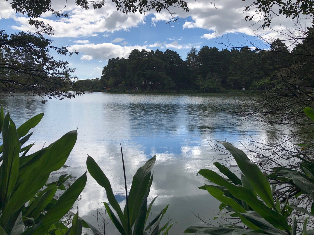 Bosques de Fraijanes景点图片