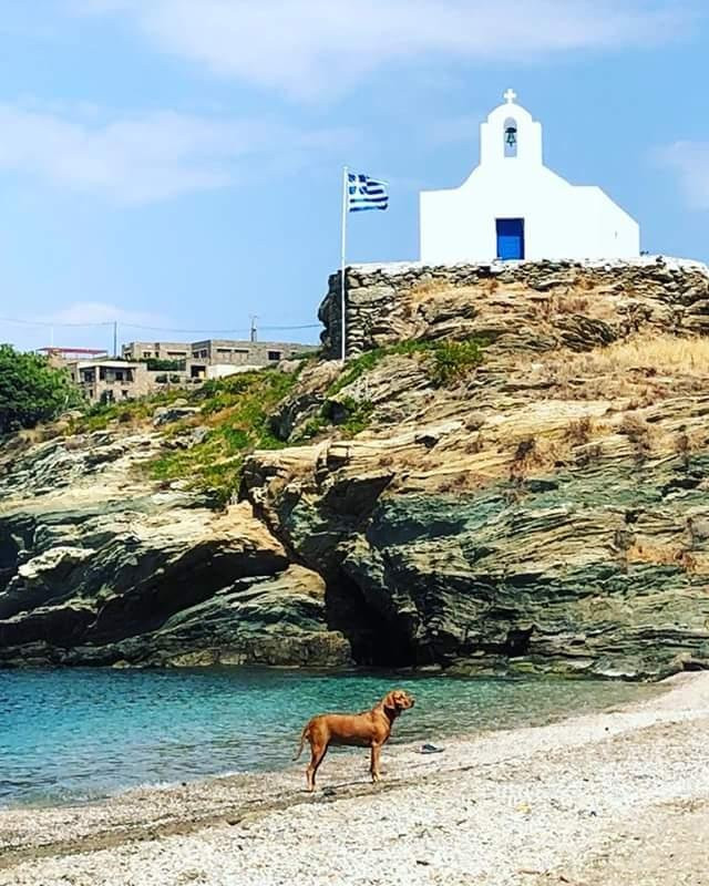 Med Sun Yachts PC-希俄斯市必去景点