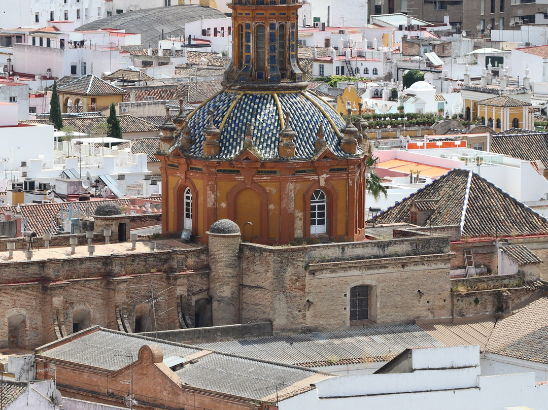 Seville Center-苏塞必去景点