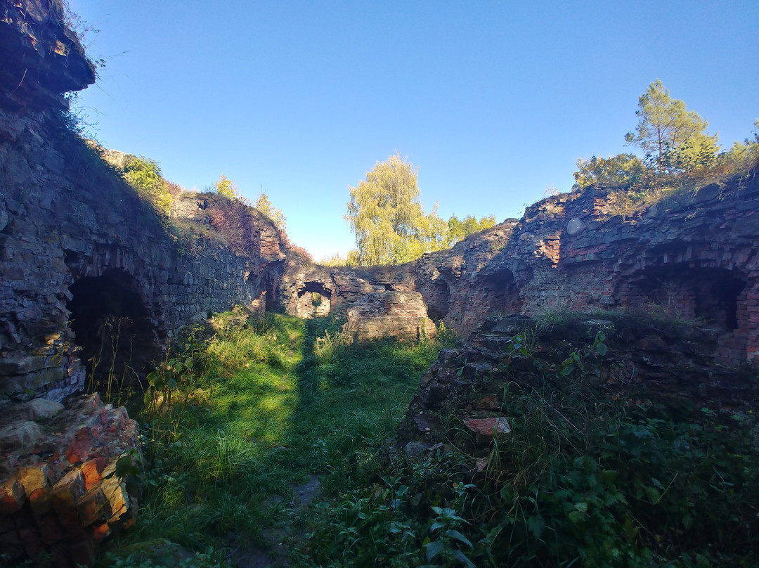 Ruiny Zamku Tarnowskich景点图片