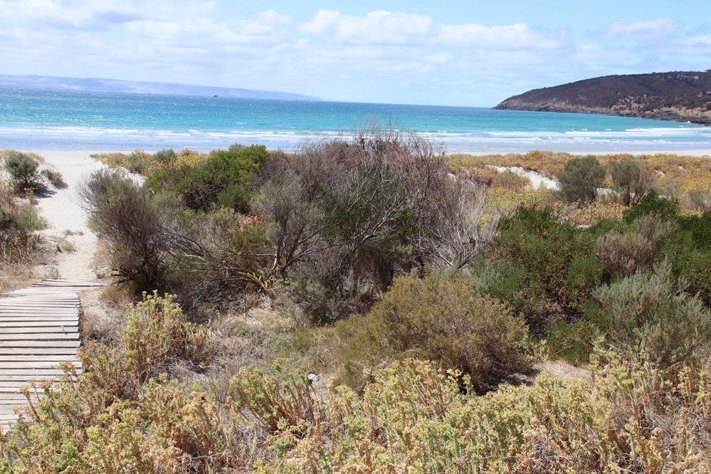 Penneshaw Beach-袋鼠岛必去景点