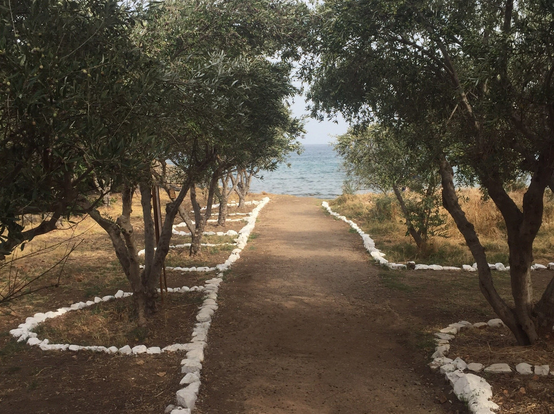 Cretan Olive Oil Farm景点图片