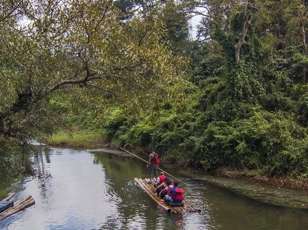 瓦亚纳德区旅游攻略图片