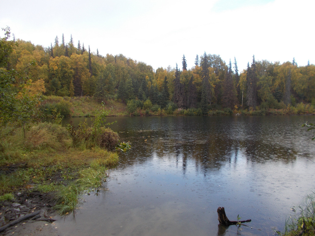 Nancy Lakes Recreation Area景点图片