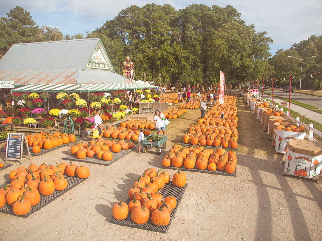 Hunt Club Farm-弗吉尼亚海滩必去景点