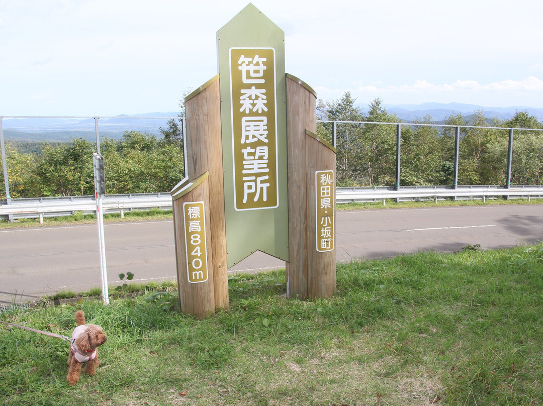 Sasaki Observation Deck景点图片