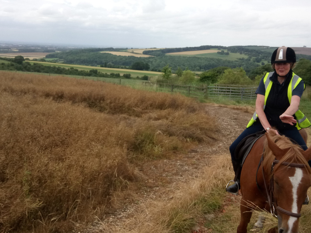 Burnby Equestrian Centre景点图片