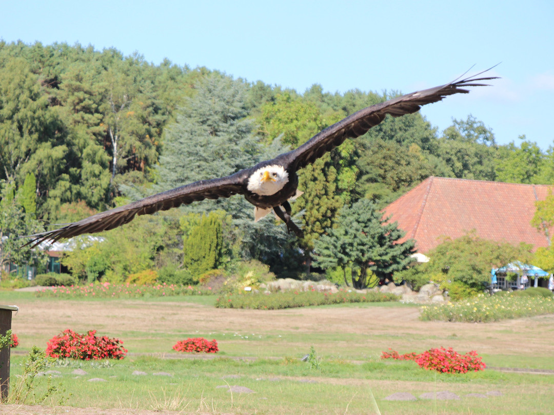 Weltvogelpark Walsrode景点图片