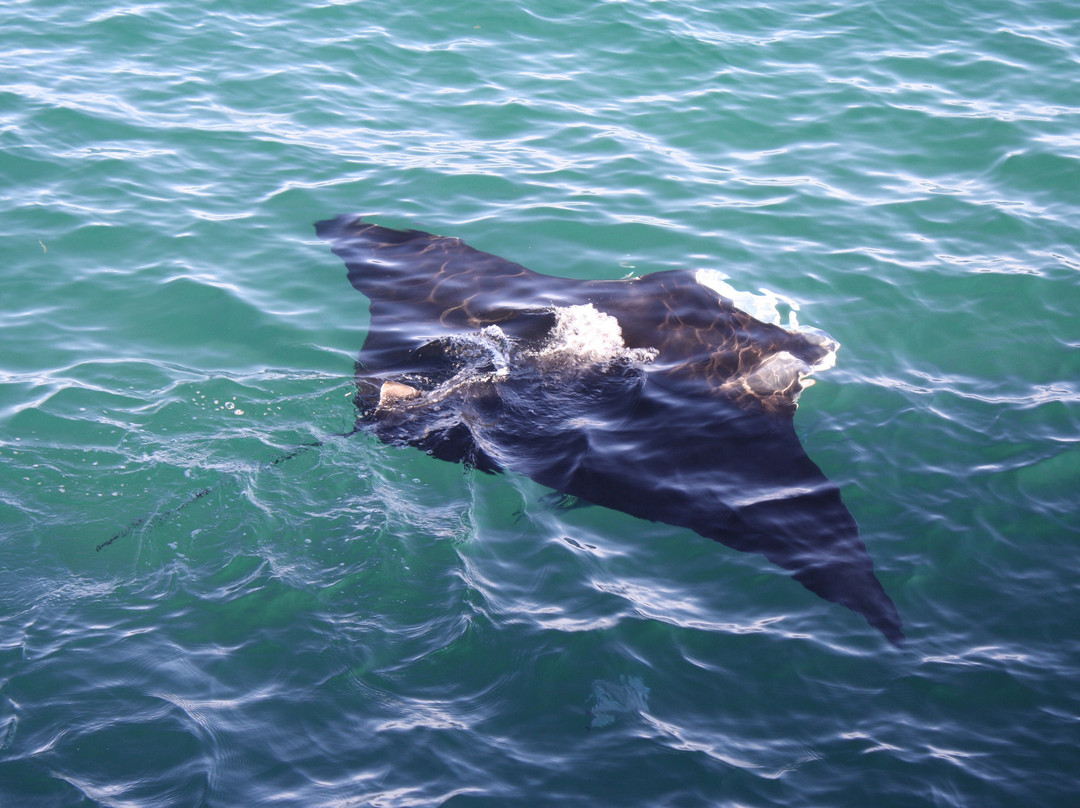 Carnarvon Heritage Precinct-卡那封必去景点