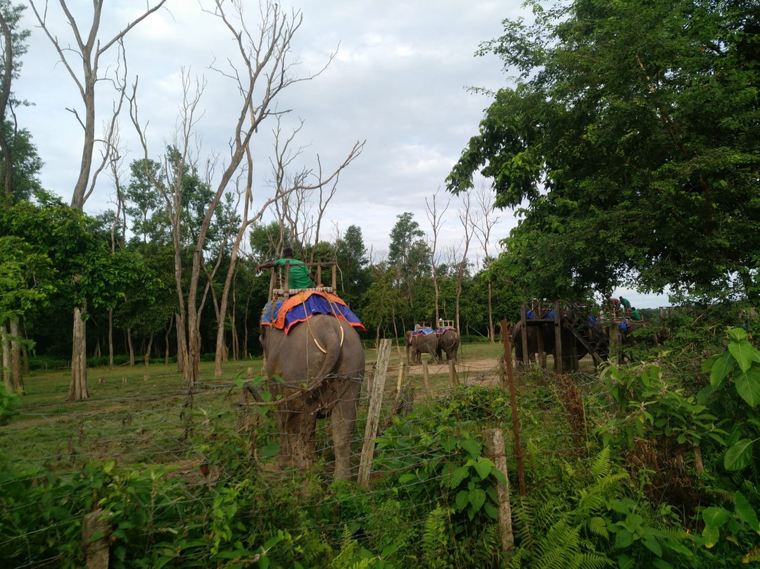 Jungle Safari Chitwan-苏拉哈必去景点