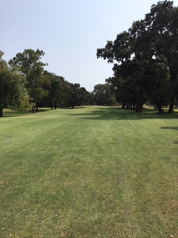 Swenson Park Golf Course-斯托克顿必去景点