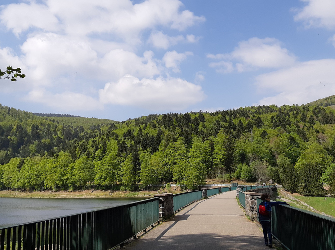 Lac de la Lauch景点图片