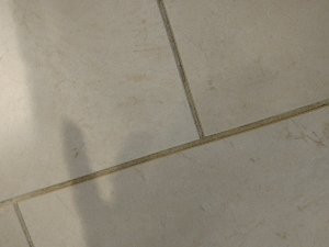 Hyatt Place Uncasville / Casino Area主图